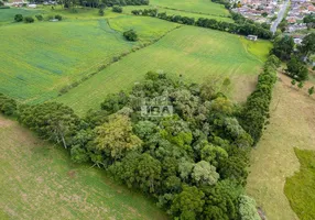 Foto 1 de Lote/Terreno à venda, 24200m² em Vila Fuck, Piraquara