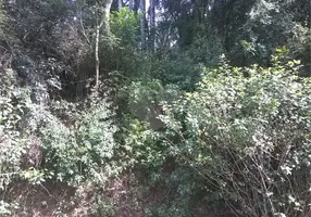 Foto 1 de Lote/Terreno à venda, 919m² em Serra da Cantareira, Mairiporã