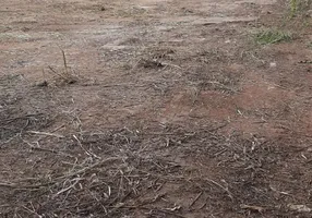 Foto 1 de Lote/Terreno à venda, 1000m² em São Luíz, Belo Horizonte