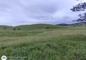 Foto 1 de Fazenda/Sítio com 5 Quartos à venda, 1650000m² em Medeiros, Barra Velha