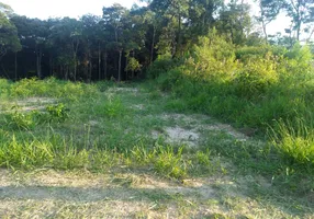 Foto 1 de Lote/Terreno à venda, 1000m² em Dona Catarina, Mairinque