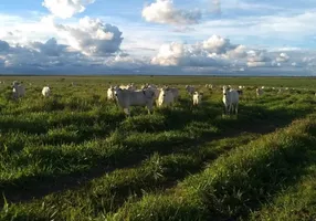 Foto 1 de Fazenda/Sítio à venda, 17799m² em Zona Rural, Barreiras