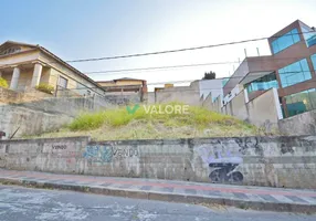 Foto 1 de Lote/Terreno à venda, 460m² em Mangabeiras, Belo Horizonte