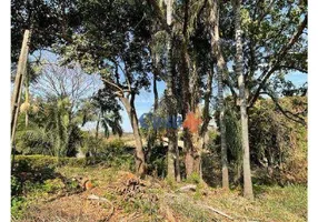 Foto 1 de Fazenda/Sítio com 3 Quartos à venda, 70m² em Sao Luiz, Paulínia