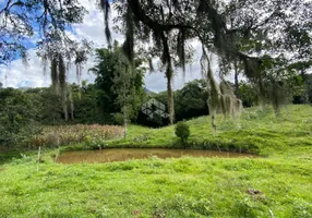 Foto 1 de Fazenda/Sítio com 2 Quartos à venda, 100000m² em Barra do Ouro, Maquiné