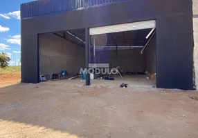 Foto 1 de Galpão/Depósito/Armazém à venda, 216m² em Shopping Park, Uberlândia