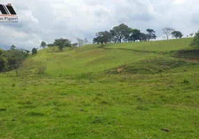 Foto 1 de Fazenda/Sítio com 2 Quartos à venda, 200m² em Zona Rural, Tuiuti