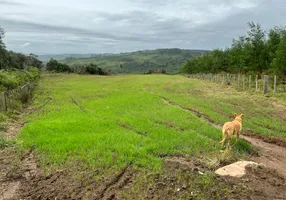 Foto 1 de Fazenda/Sítio com 3 Quartos à venda, 1060000m² em Centro, Barão do Triunfo