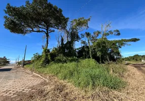 Foto 1 de Lote/Terreno à venda, 300m² em Praia do Ervino, São Francisco do Sul