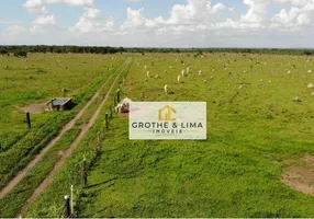 Foto 1 de Fazenda/Sítio com 4 Quartos à venda, 700m² em , Conceição do Araguaia