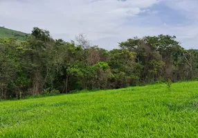 Foto 1 de Fazenda/Sítio à venda, 580000m² em Zona Rural, Belo Vale