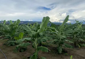 Foto 1 de Fazenda/Sítio à venda, 44m² em Pedra 90, Cuiabá