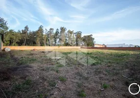 Foto 1 de Lote/Terreno para alugar, 3002m² em Pé-de-Plátano, Santa Maria