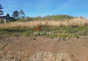 Foto 1 de Fazenda/Sítio com 1 Quarto à venda, 2048m² em Vila Seca, Caxias do Sul