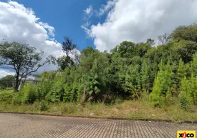 Foto 1 de Lote/Terreno à venda, 405m² em Linha Imperial, Nova Petrópolis