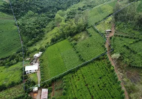 Foto 1 de Fazenda/Sítio à venda, 148000m² em Zona Rural, Bento Gonçalves