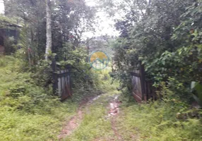 Foto 1 de Fazenda/Sítio com 2 Quartos à venda, 10000m² em Morro Grande, São Lourenço da Serra