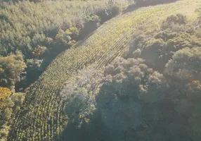 Foto 1 de Fazenda/Sítio com 1 Quarto à venda, 30000m² em Carazal, Gramado