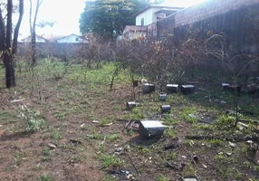 Foto 1 de Lote/Terreno à venda, 1000m² em Braúnas, Belo Horizonte