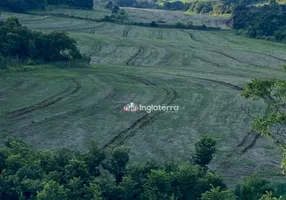 Foto 1 de Fazenda/Sítio à venda, 653400m² em Zona Rural, Assaí