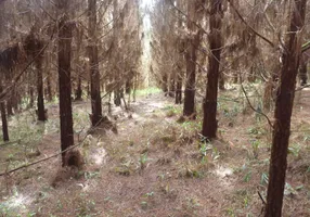 Foto 1 de Fazenda/Sítio à venda, 234740m² em Campinas, Campo Alegre