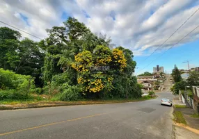 Foto 1 de Lote/Terreno à venda, 483m² em Floresta, Joinville