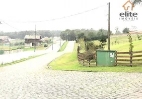 Foto 1 de Fazenda/Sítio com 1 Quarto à venda, 2800m² em Planta Laranjeiras, Piraquara