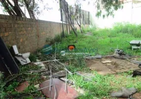 Foto 1 de Lote/Terreno para alugar, 601m² em Betel, Paulínia