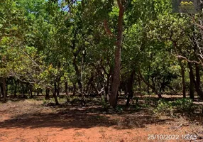 Foto 1 de Chácara com 1 Quarto à venda, 999m² em Poção, Cuiabá