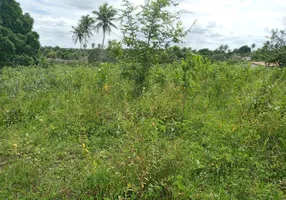 Foto 1 de Fazenda/Sítio com 4 Quartos à venda, 200000m² em Centro, São Gonçalo do Amarante