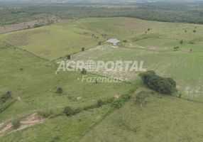 Foto 1 de Fazenda/Sítio à venda, 2400000m² em Centro, São Miguel do Guamá