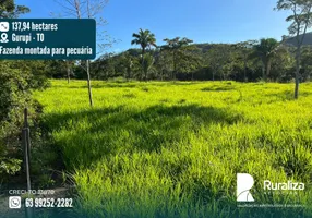 Foto 1 de Fazenda/Sítio à venda, 137m² em Zona Rural, Gurupi