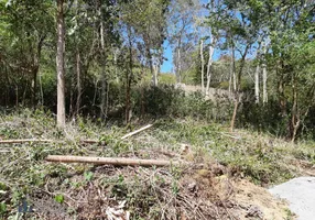 Foto 1 de Lote/Terreno à venda, 585m² em Cônego, Nova Friburgo