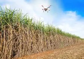 Foto 1 de Fazenda/Sítio à venda, 500m² em , Albertina