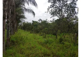 Foto 1 de Fazenda/Sítio à venda, 4150m² em Shopping Park, Uberlândia