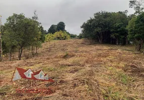 Foto 1 de Fazenda/Sítio com 1 Quarto à venda, 5000m² em Colonia Marcelino, São José dos Pinhais