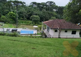 Foto 1 de Fazenda/Sítio com 3 Quartos à venda, 150m² em Cruzeiro, São José dos Pinhais