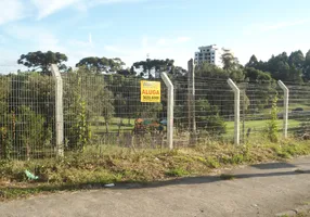 Foto 1 de Lote/Terreno para alugar, 360m² em Desvio Rizzo, Caxias do Sul