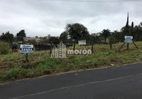 Foto 1 de Lote/Terreno à venda, 427m² em Estrela, Ponta Grossa