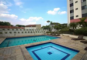 Foto 1 de Apartamento com 2 Quartos para alugar, 49m² em Vila Primavera, São Paulo