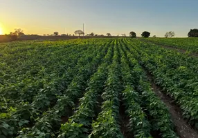 Foto 1 de Fazenda/Sítio com 3 Quartos à venda, 600000m² em Centro, Manga