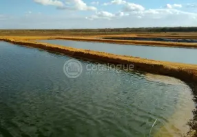 Foto 1 de Fazenda/Sítio à venda, 200m² em Centro, São Bento do Norte