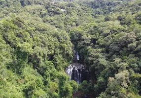 Foto 1 de Fazenda/Sítio com 1 Quarto à venda, 210m² em Varzea Grande, Gramado