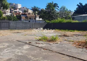 Foto 1 de Lote/Terreno para alugar, 720m² em Santa Amélia, Belo Horizonte