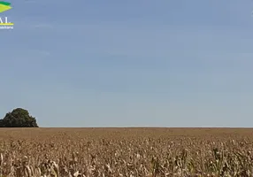 Foto 1 de Fazenda/Sítio com 1 Quarto à venda, 350000m² em Zona Rural, Santa Cruz de Goiás