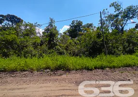 Foto 1 de Lote/Terreno à venda, 714m² em Praia do Ervino, São Francisco do Sul