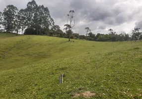 Foto 1 de Fazenda/Sítio à venda, 25000m² em Barracao, Gaspar