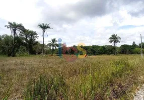 Foto 1 de Lote/Terreno à venda, 250m² em Iguape, Ilhéus