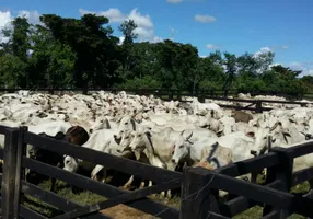 Foto 1 de Fazenda/Sítio com 3 Quartos à venda, 3950m² em Zona Rural, Nova Brasilândia