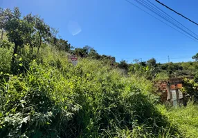 Foto 1 de Lote/Terreno à venda, 360m² em São Mateus, Igarapé